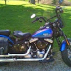 Meet your Posher, Lizamari